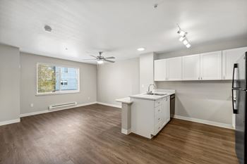 Wood-style plank flooring throughout